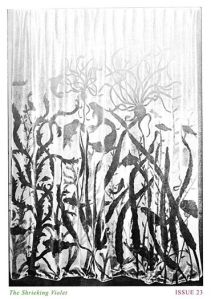 10570412_10101266039643815_423706891123048102_n