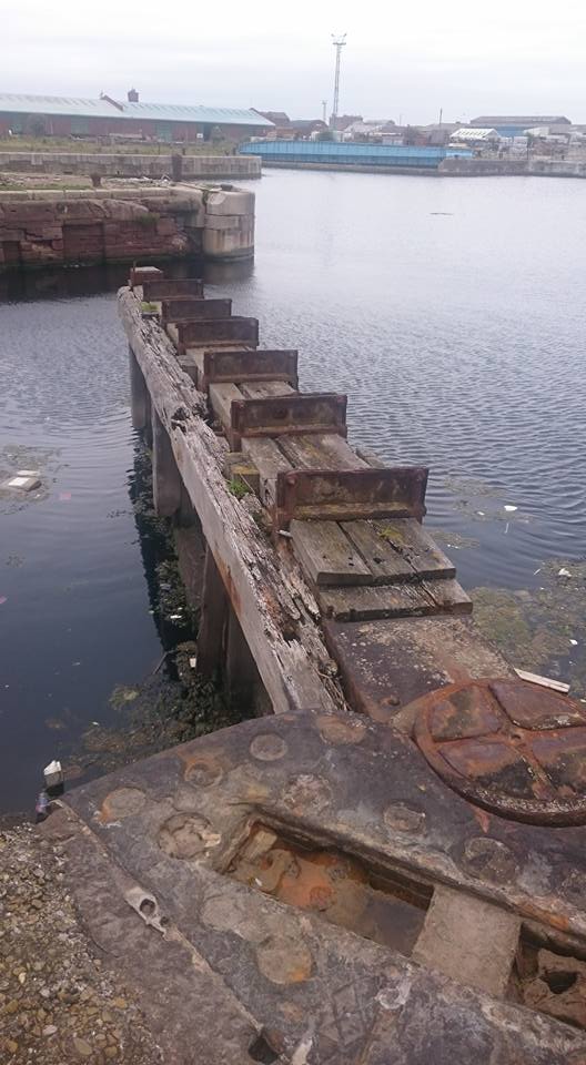 19224986_10158856507415092_3488069240255967835_n