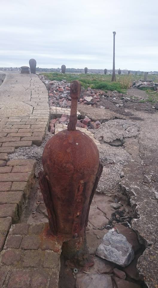 19225998_10158856507645092_7347918479153081120_n